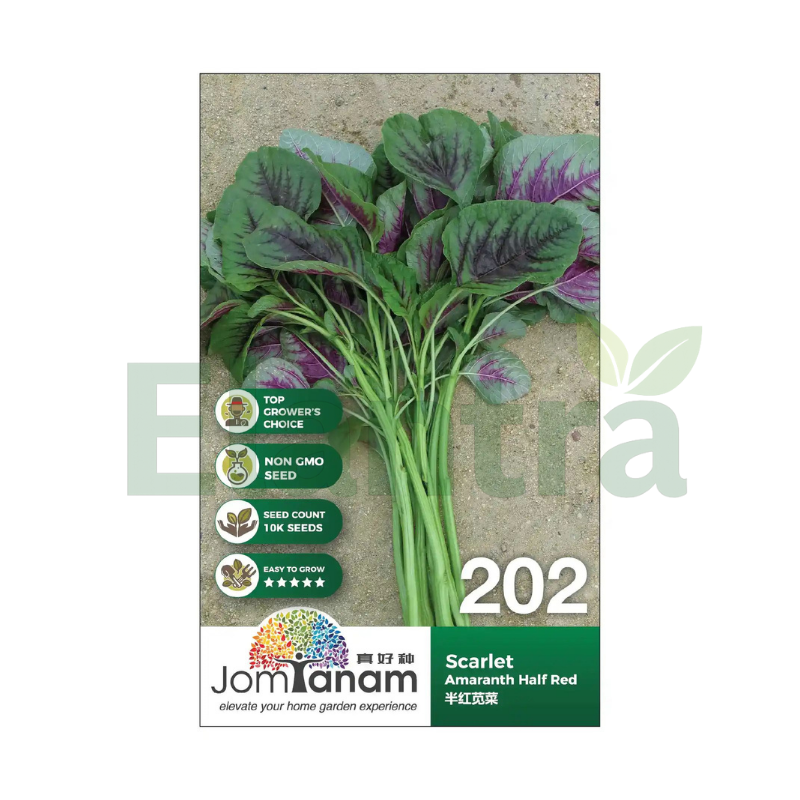 202 AMARANTH HALF RED